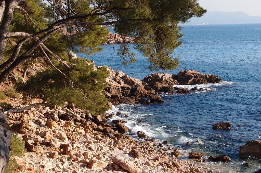 Au Coeur De La Ville Bandol Exteriör bild